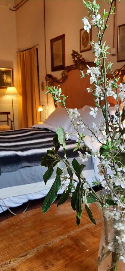 Villa I Bossi Arezzo Kültér fotó
