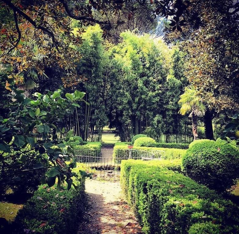 Villa I Bossi Arezzo Kültér fotó