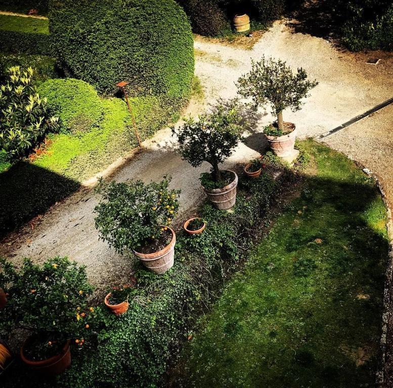 Villa I Bossi Arezzo Kültér fotó